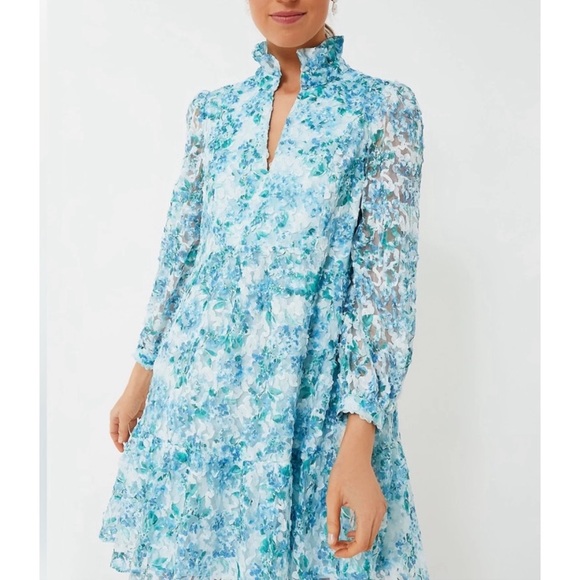 Tuckernuck Dresses & Skirts - TUCKERNUCK Water's Edge Hydrangea Organza Palmerston Dress